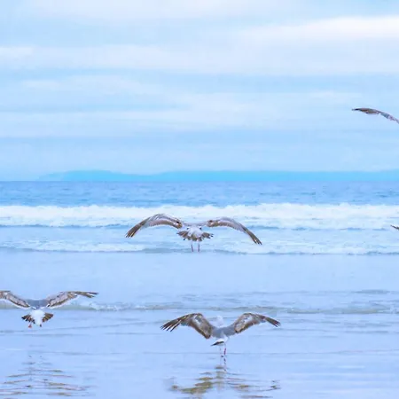 Wijde Blick 207 - Aan Zee Apartment *