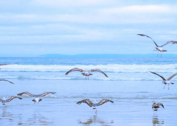 Wijde Blick 207 - Aan Zee Apartment *