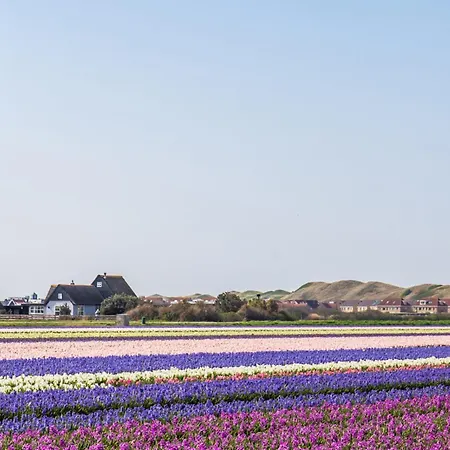 Wijde Blick 207 - Aan Zee Lejlighed